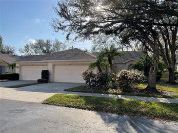 Beautiful single-story home with a well-manicured lawn and mature landscaping at 6325 Stone River Rd, Bradenton, FL 34203