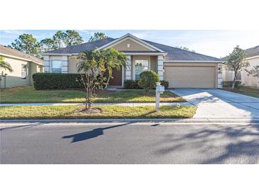 One-story house with a two-car garage and landscaped lawn at 3602 Juneberry Dr, Wesley Chapel, FL 33543