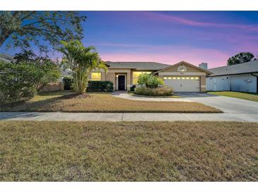 Single-story house with a two-car garage and landscaped yard at 12006 Stone Crossing Circle, Tampa, FL 33635