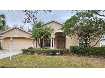 Tan house with a brown door and two palm trees in the front yard at 6013 Catlin Dr, Tampa, FL 33647
