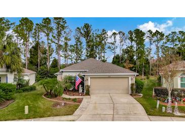Charming single-story home featuring a well-manicured lawn and a two-car garage at 5021 Gato Del Sol Cir, Wesley Chapel, FL 33544