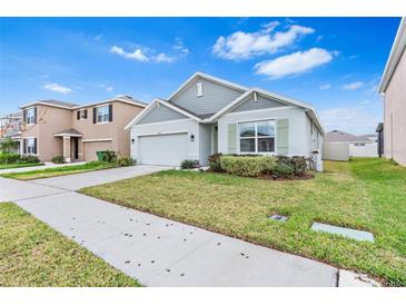 One-story house with gray siding, white garage door, and landscaped lawn at 33510 Elm Hill Branch, Wesley Chapel, FL 33545