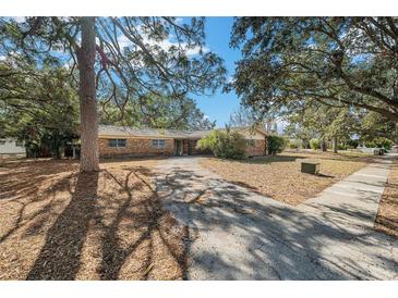 Ranch-style home with mature landscaping and a large yard at 3700 Dana Shores Dr, Tampa, FL 33634