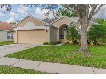 One-story house with attached garage, landscaping, and palm trees at 30009 Morningmist Dr, Wesley Chapel, FL 33543