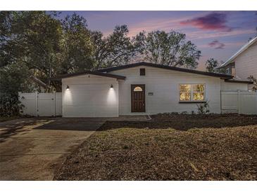 Charming single-story home featuring a well-maintained lawn, decorative lighting, and a welcoming front entrance at 12506 Forest Hills Dr, Tampa, FL 33612