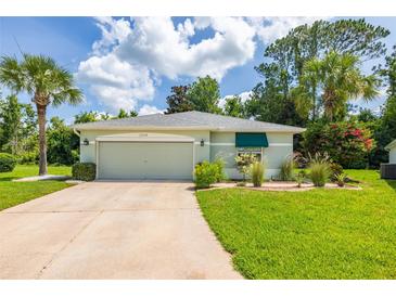 Charming single-story home featuring a well-manicured lawn and a two-car garage at 11116 Jenkins Ct, San Antonio, FL 33576