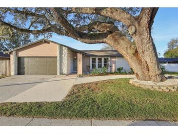 Charming ranch home with a large tree and updated landscaping at 3911 King Dr, Brandon, FL 33511