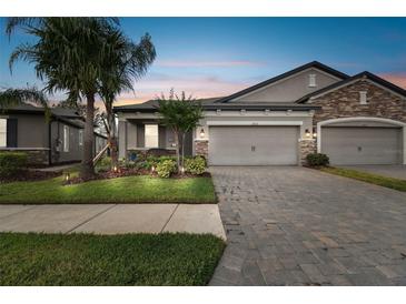 Two-car garage, paver driveway, and well-manicured landscaping at 19315 Hawk Valley Dr, Tampa, FL 33647