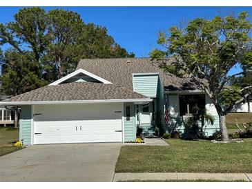 Cute light green house with a white garage door and well-maintained lawn at 1005 Lake Avoca Pl, Tarpon Springs, FL 34689