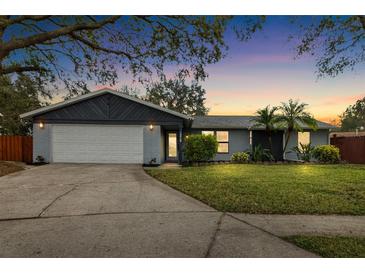 Updated single-story home with a two-car garage and landscaped lawn at 1317 Borden Ct, Valrico, FL 33594