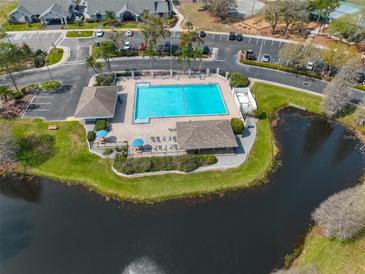 Aerial view of a community pool, deck with lounge chairs, and a covered picnic area on a grassy lot adjacent to a pond at 12908 Brant Tree Dr, Riverview, FL 33579