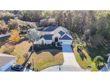 Aerial view of a single-story home with a well-maintained lawn, palm trees, and a two-car garage at 11620 Eastern Star Ct, New Port Richey, FL 34654