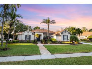 Charming home with a manicured lawn, professional landscaping, and a lighted walkway leading to the front door at 6020 Kestrel Point Ave, Lithia, FL 33547