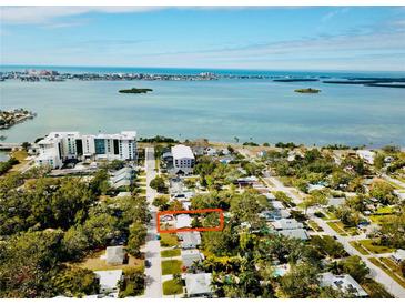 Scenic aerial view of a waterfront neighborhood with clear blue water and lush green trees, located near the coastline at 1034 Sunnydale Dr, Clearwater, FL 33755