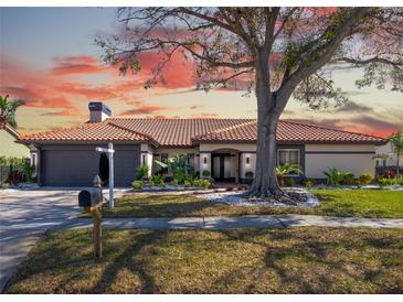 Charming single-story home boasts a tile roof, manicured lawn, mature shade tree, and two-car garage at 5809 Cruiser Way, Tampa, FL 33615