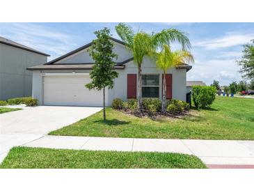 Well-maintained single-Gathering home with a lush green lawn, landscaping, and a two-car garage at 9805 Lemon Drop Loop, Sun City Center, FL 33573