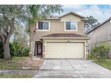 Charming two-story home features a two-car garage, landscaped yard, and mature trees in a suburban neighborhood at 10815 Wrigley Ct, Riverview, FL 33579