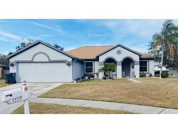 Charming single-story home featuring a two-car garage, neutral stucco exterior and well-maintained lawn at 4209 Amber Ridge Ln, Valrico, FL 33594