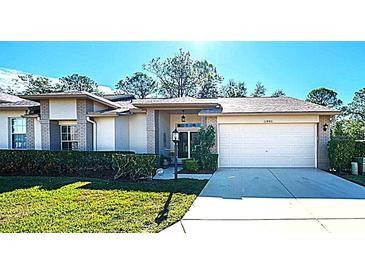 Charming single-story home featuring a well-maintained lawn, two-car garage, and beautifully landscaped front yard at 11440 Baronwood Ct, Hudson, FL 34667