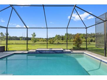 Screened pool with a view of the green backyard and blue skies at 14215 Swiss Bridge Dr, Riverview, FL 33579