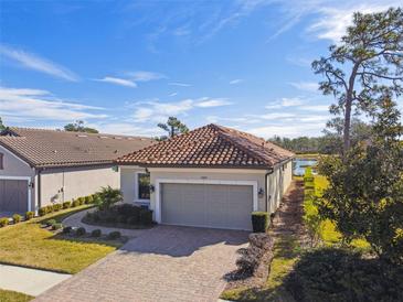 Charming single-story home with tile roof, two-car garage, and walkway, set against a bright blue sky at 20109 Sorano Hill Pl, Tampa, FL 33647