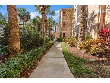 Pathway lined with beautiful foliage and palm trees creating a serene and inviting atmosphere at 1203 Bay Club Cir # 1203, Tampa, FL 33607
