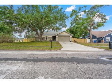 Charming single-story home with mature trees, a well-maintained lawn, and a long driveway at 13215 Parkhurst Ct, Riverview, FL 33569