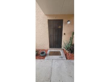 A welcoming front entrance, featuring a security door and a 'hello sunshine' door mat at 4725 Michael Ct # 131, Tampa, FL 33614