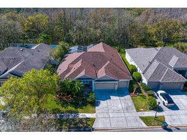 An aerial view of a single-Gathering home with a screened-in pool, mature trees, and well-maintained landscaping at 8205 Prairie Ridge Way, Tampa, FL 33647
