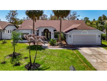 Charming single-story home with well-manicured lawn and mature palm trees at 8208 Rhanbuoy Rd, Spring Hill, FL 34606