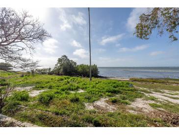 Backyard view with waterfront access and lush, natural surroundings at 2028 Blossom S Way, St Petersburg, FL 33712