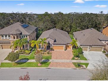 Beautiful neighborhood featuring manicured lawns, brick driveways, and mature trees at 13711 Moonstone Canyon Dr, Riverview, FL 33579