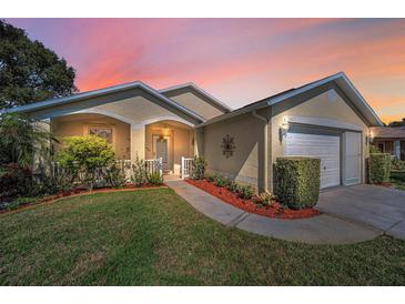 Charming single-Gathering home featuring a manicured lawn and a welcoming front porch at 11427 Turtle Dove Pl, New Port Richey, FL 34654