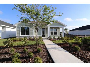 Charming single-story home with a landscaped front yard and a welcoming walkway to the front door at 28784 Rambutan Dr, Wesley Chapel, FL 33543