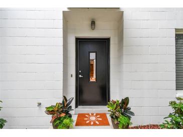 Modern front door with a window, enhanced by decorative plants and doormat at 337 4Th S Ave, St Petersburg, FL 33701