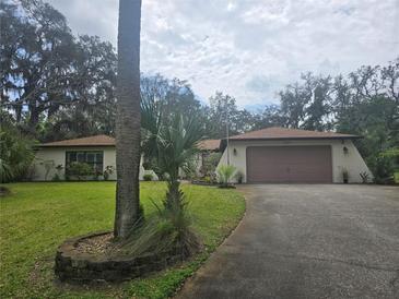 Charming single-story home featuring a brown two-car garage and a well-maintained lawn with mature trees at 6524 Coronet Dr, New Port Richey, FL 34655