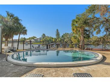 Relaxing circular pool with lounge chairs and lush palm trees under a bright, clear sky at 6328 Newtown Cir # 28B3, Tampa, FL 33615