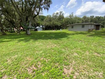 Expansive backyard featuring lush greenery, mature trees, and a storage shed at 3223 Coats Rd, Zephyrhills, FL 33541