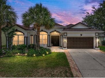 Inviting single-story home featuring a well-manicured lawn, mature palms, and a two-car garage at 12333 Woodlands Cir, Dade City, FL 33525