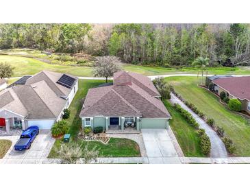 Aerial view of a single-story home with lush landscaping and a well-maintained exterior at 25950 Risen Star Dr, Wesley Chapel, FL 33544