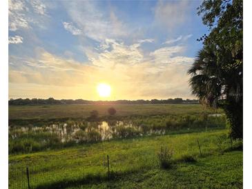 Beautiful view of sunrise over a marshy green field landscape at 1472 Ivydale Rd, Spring Hill, FL 34606