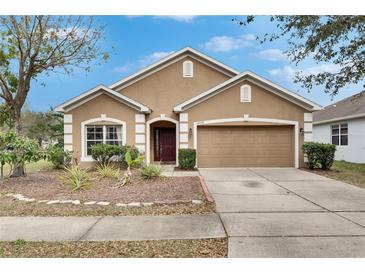 Charming one story home featuring a two car garage, neutral paint, and manicured landscaping at 10328 Celtic Ash Dr, Ruskin, FL 33573