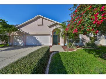 Charming single-Gathering home with a two car garage, beautiful flowering tree and well maintained lawn at 11218 Longbrooke Dr, Riverview, FL 33579