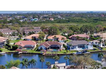 Beautiful aerial view showcasing waterfront homes, lush greenery, and a skyline in the distance at 6014 Mariners Watch Dr, Tampa, FL 33615