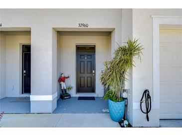 Charming front entrance with decorative plant and house number at 32960 Regent Canal St, Wesley Chapel, FL 33545
