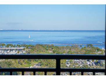 Relaxing view of the serene blue water and distant shoreline from a high-rise balcony at 175 2Nd S St # P03, St Petersburg, FL 33701