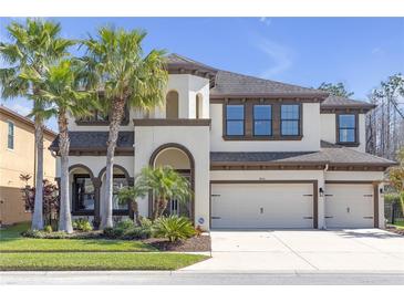 Stunning two-story home with a three-car garage and lush landscaping featuring mature palm trees at 8414 Eagle Brook Dr, Land O Lakes, FL 34638