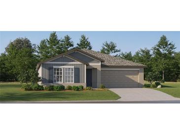 Charming single-story home with gray siding, landscaped front yard, and attached two-car garage at 10212 Gentle Rain Dr, Land O Lakes, FL 34638