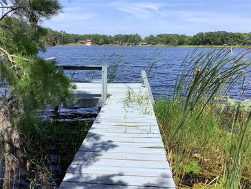 Waterfront property featuring a wooden dock with access to a serene lake at 16921 Crawley Rd, Odessa, FL 33556