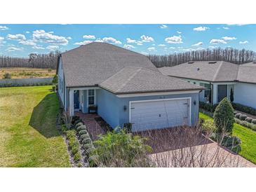 Charming single-story home with a well-manicured lawn and two car garage at 19573 Ship Wheel Way, Land O Lakes, FL 34638